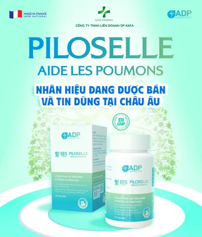 Viên uống Piloselle Pháp - Giảm ho, đờm, viêm họng, phế quản - Bổ phổi, hộp 30 viên hỗ trợ sức khỏe đường hô hấp