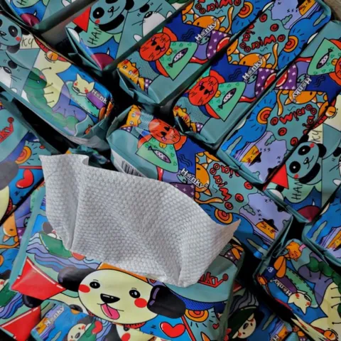Khăn Mặt Khô Đa Năng Dùng 1 Lần Hanky - Cuộn Rút, 100% Cotton Mềm Mịn, Tiện Lợi Cho Vệ Sinh và Tẩy Trang Hàng Ngày