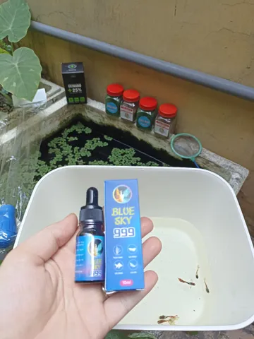 Dung dịch Blue Sky 999 10ml - Điều trị bệnh và chăm sóc cá cảnh an toàn hiệu quả cho cá Betta, Koi, cá thủy sinh nhỏ