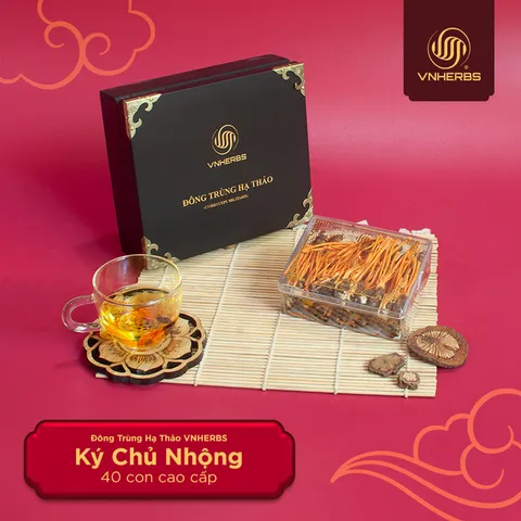 Đông Trùng Hạ Thảo Ký Chủ Nhộng Hộp Gỗ 40 Con - Thực Phẩm Dinh Dưỡng Tăng Cường Sức Khỏe, Hỗ Trợ Sức Đề Kháng