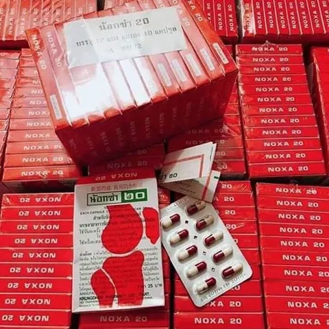 Combo 1 lốc 12 hộp viên uống xương khớp Noxa 20 Thái Lan