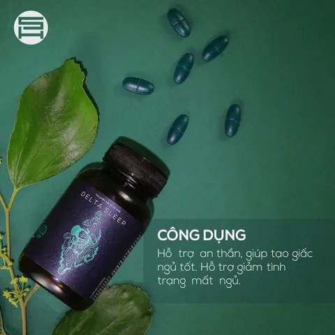 Delta Sleep - Giấc ngủ tái tạo