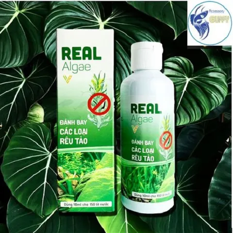 Dung Dịch Diệt Rêu Tảo Real Algae 100ml - Sản Phẩm An Toàn Cho Hồ Cá, Bể Cá, Khử Rêu Chùm Đen, Tảo Nâu, Tảo Lam