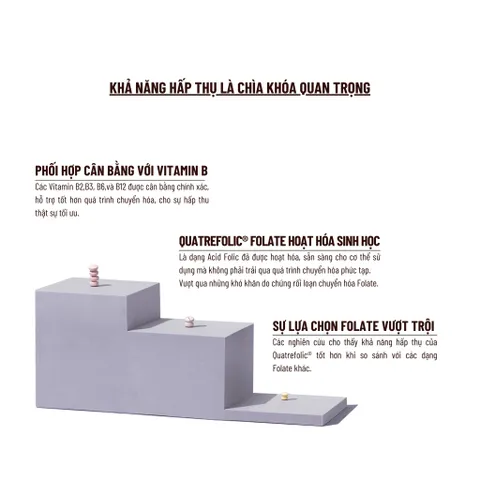 Viên Uống PERDAYS Bổ Sung Axit Folic & Vitamin B - Hỗ Trợ Thai Kỳ, Ngăn Ngừa Dị Tật Thai Nhi, 60 Viên