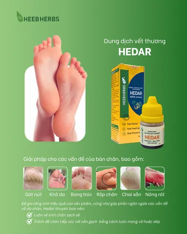 Gói 6 Dung Dịch Vết Thương Hedar - Giảm Đau, Cầm Máu, Hỗ Trợ Làm Lành Nhanh Chóng Và Ngăn Ngừa Sẹo Cho Vết Thương, Vết Bỏng