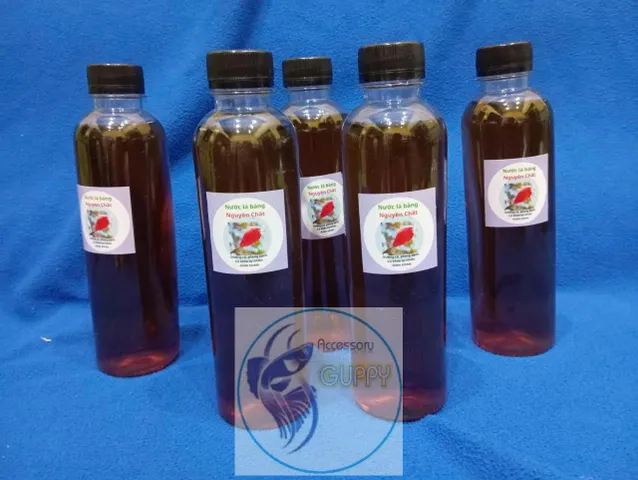 Nước Cốt Lá Bàng 330ml - Giải Pháp Tự Nhiên Giúp Cá Cảnh Khỏe Mạnh, Giảm Căng Thẳng, Ngăn Ngừa Bệnh Tật