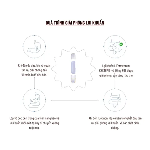 Viên Uống PERDAYS Breastfeeding Probiotic & Vitamin D - Hỗ Trợ Tiêu Hóa và Miễn Dịch Cho Mẹ Bầu và Sau Sinh