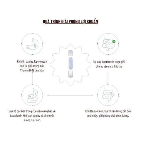 Viên Uống PERDAYS Immune Boost & Lactoferrin - Tăng Cường Đề Kháng Cho Mẹ Bầu, Hỗ Trợ Hệ Miễn Dịch - Lọ 60 Viên