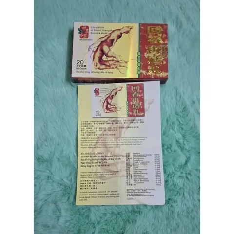Nhân Sâm Hồi Xuân Tái Tạo Hoàn Vĩ - Hỗ Trợ Đau Khớp, Tê Bại Tứ Chi, Giúp Cải Thiện Sức Khỏe Xương Khớp