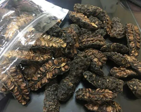 TRÁI NHÀU KHÔ TỰ NHIÊN - Hỗ Trợ Sức Khỏe, Giúp Ngâm Rượu, Ngâm Đường, Nấu Nước Uống - Sản Phẩm ĐÔNG Y TUỆ AN