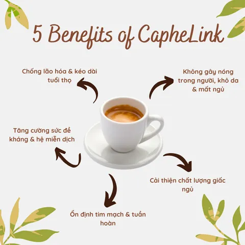 Cà phê Link Decaf Thảo Mộc Rang Xay - Tăng Cường Đề Kháng, Không Bồn Chồn, Hương Vị Nguyên Chất - 20 Gói 320g