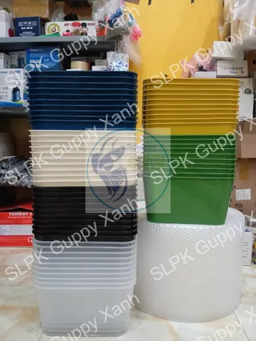 Khay Nhựa Nuôi Cá Cảnh 7L - Dụng Cụ Ép Cá Đẻ, Trồng Rau, Chất Lượng Cao, Phụ Kiện Guppy, Betta, Guppy, Cá 7 Màu