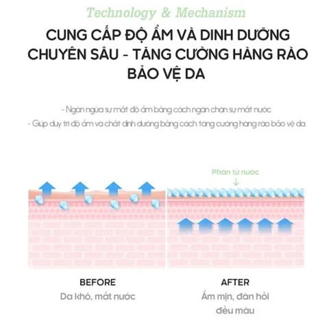 Huyết Thanh Re:p Cấp Nước 30ml - Serum Phục Hồi Da Dầu & Dưỡng Ẩm Giàu Chất Dinh Dưỡng, An Toàn Cho Da Nhạy Cảm