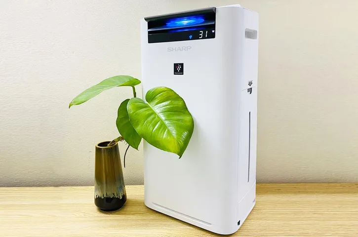 Máy Lọc Không Khí Tạo Ẩm Sharp KC-G50EV-W 38m2 - Công Nghệ Inverter, Hệ Thống Lọc 3 Cấp, Tự Động Thông Minh, Khử Mùi Hiệu Quả