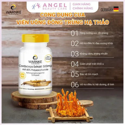 Viên Uống Đông Trùng Hạ Thảo Warnke Cordyceps Extrakt 500mg, 120 Viên,