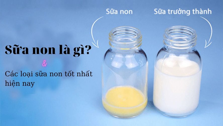Sữa non là gì? Top 8 các loại sữa non tốt nhất hiện nay