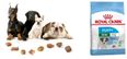 Thức Ăn Hạt Royal Canin Mini Puppy Cho Chó 2 - 10 Tháng Tuổi