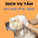 Voucher Dịch Vụ Tắm Cho Chó Từ 21 Đến 30kg Chuyên Nghiệp