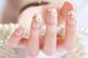 Bột Nail Trắng Đắp Móng Jeliva Clear Ombre Nature
