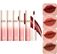 Son Gilaa Long Wear Lip Cream Rich Rosie Collection Version 2