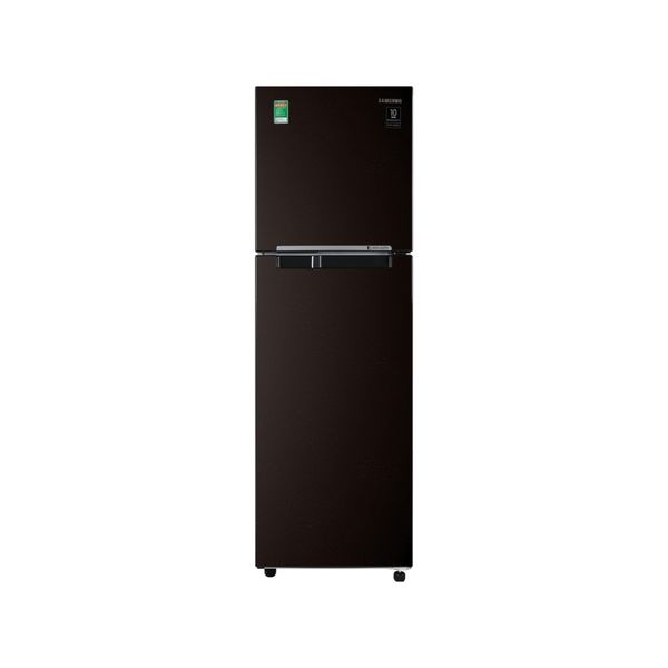 Tủ Lạnh Samsung Inverter 236 Lít RT22M4032BY/SV
