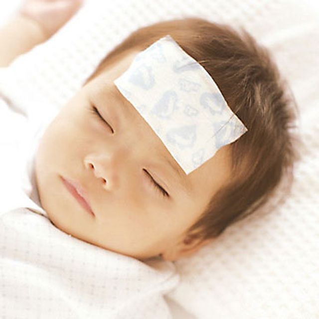 miếng d&aacute;n hạ sốt Pigeon ch&iacute;nh h&atilde;ng