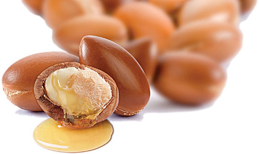  Dầu gội Nashi được chiết xuất từ quả Argan