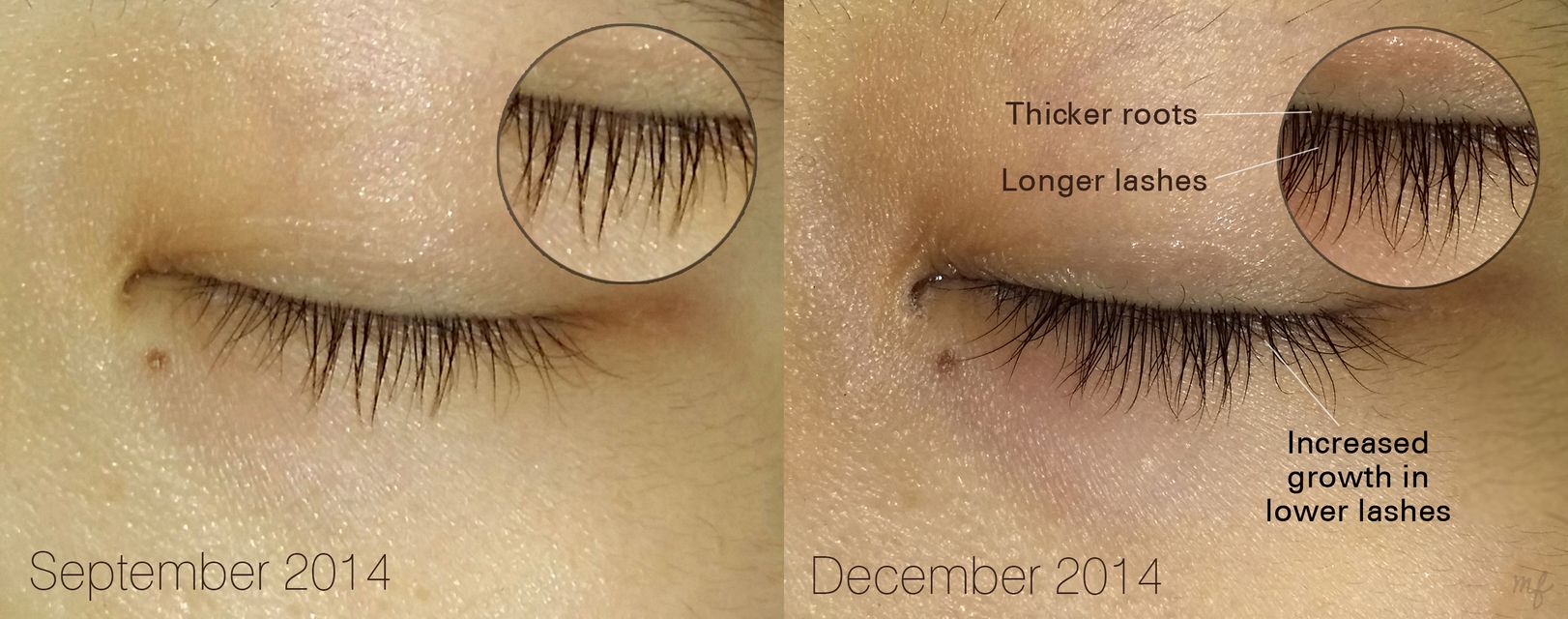 Dưỡng mi DHC Eyelash Tonic dưỡng mi c&oacute; độ cong tự nhi&ecirc;n, d&agrave;y hơn