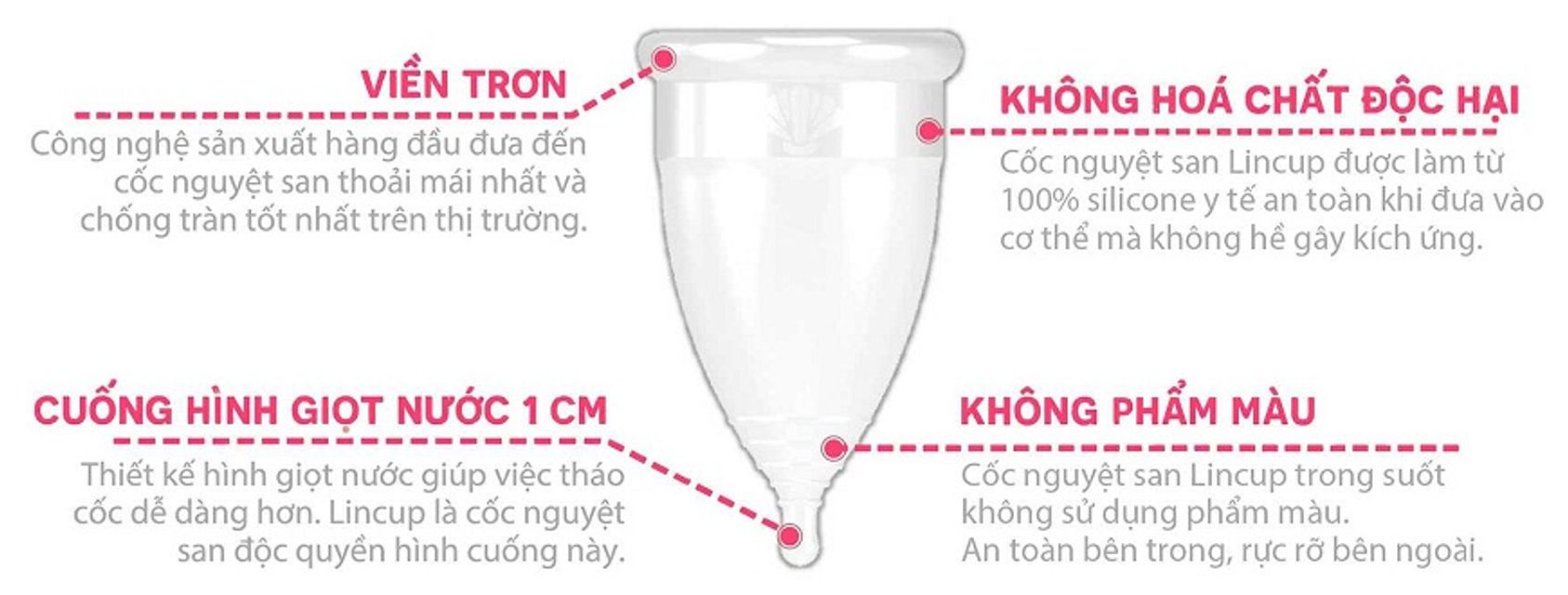 Cốc nguyệt san Lincup của Mỹ 1