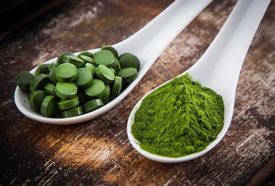 Tảo xoắn Spirulina l&agrave; g&igrave;