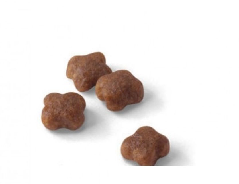 image product content 2