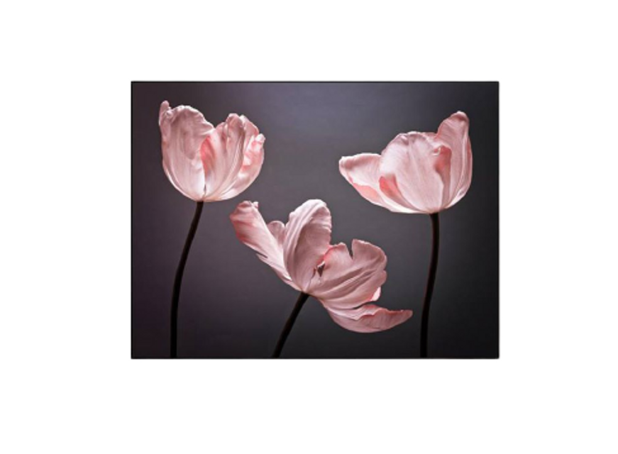 Tranh Canvas h&igrave;nh hoa Tulip trang tr&iacute; căn hộ k&iacute;ch thước đa dạng theo y&ecirc;u cầu