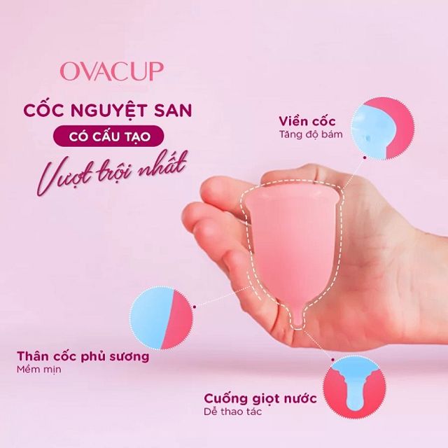 image product content 2