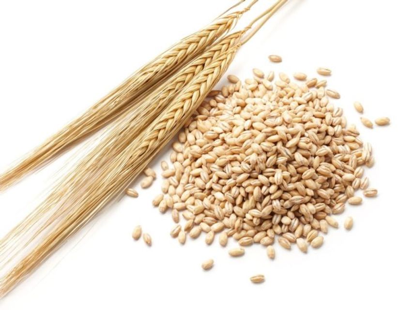 L&uacute;a mạch H&agrave; Lan&nbsp;500g