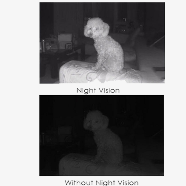 image product content 4