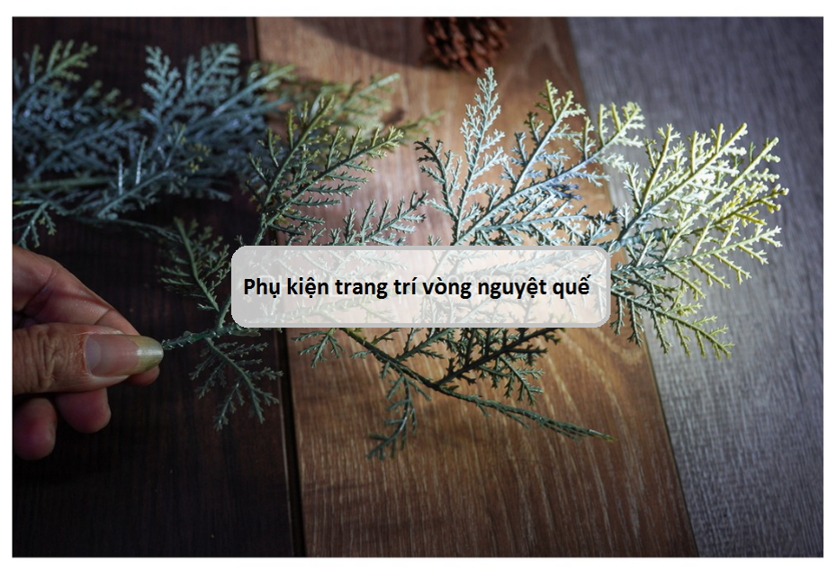 image product content 7