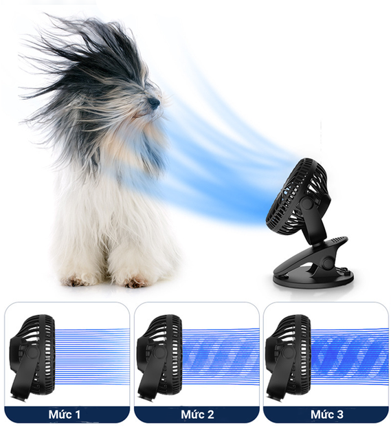 image product content 2