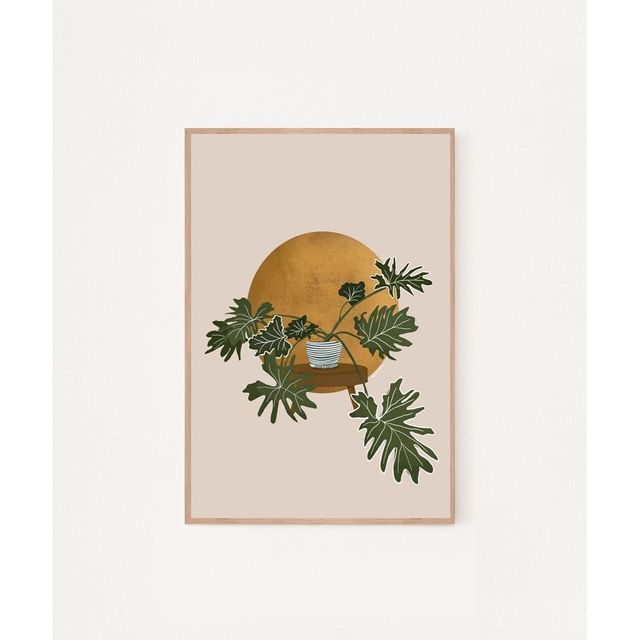 image product content 4