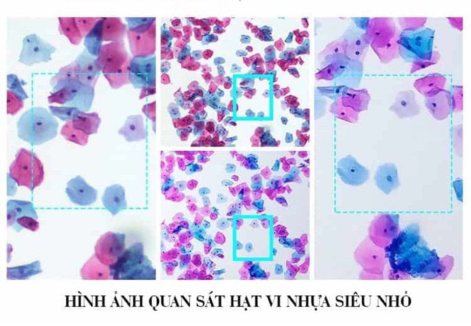 image product content 3