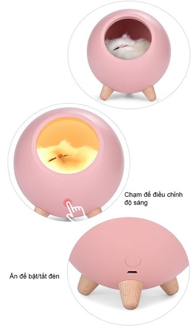 image product content 5