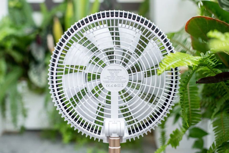 image product content 8