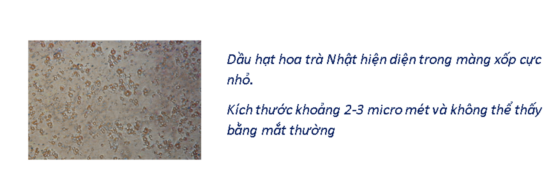 image product content 8