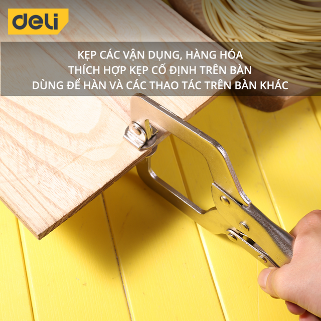 Thiết kế đa năng, dễ sử dụng