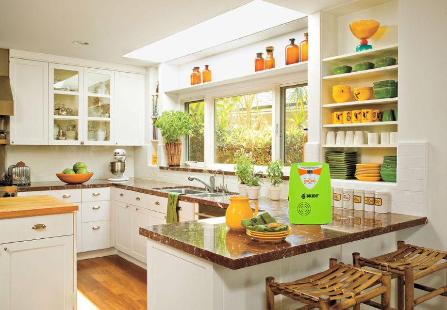 M&aacute;y tạo ozone v&agrave; ion &acirc;m BK Ozone M05s