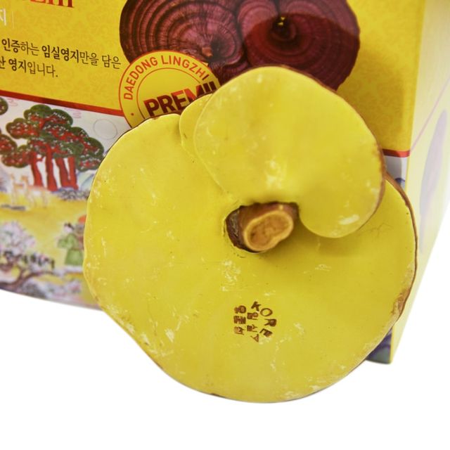 image product content 2