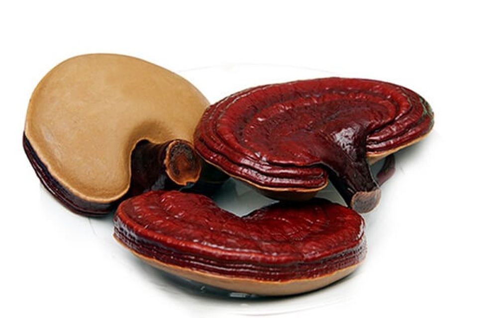 image product content 2
