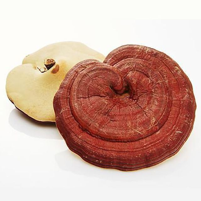image product content 2