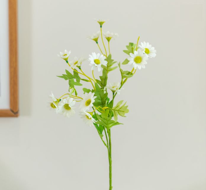 image product content 1