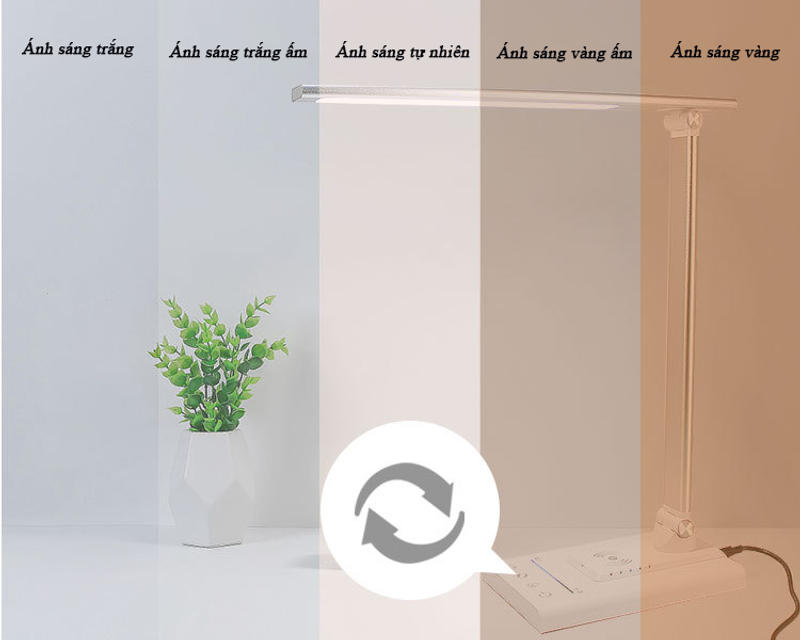 image product content 5