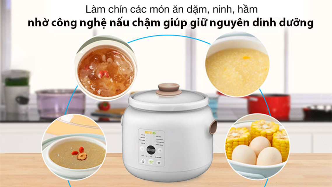 Nồi nấu chậm điện tử đa năng Bennix BN-30SLC dung t&iacute;ch 3L